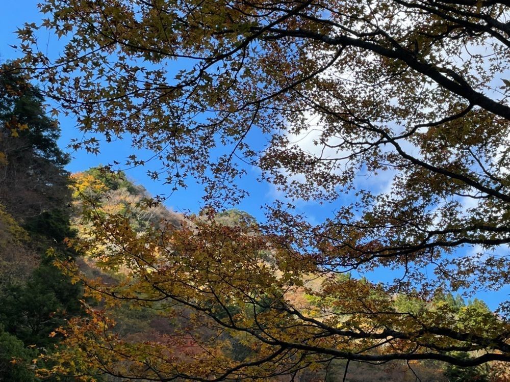 みぃさんが投稿した大釜の滝（徳島県那賀町）に関する口コミの画像