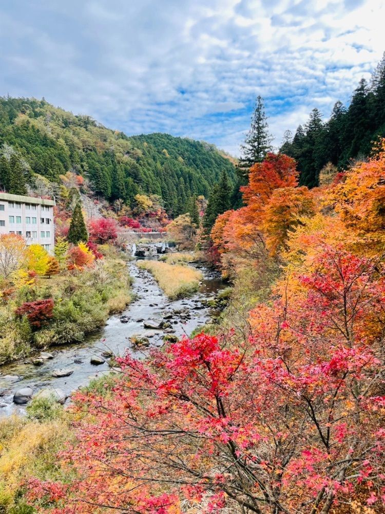 Mitsuさんが投稿した大井平の紅葉に関する口コミの画像