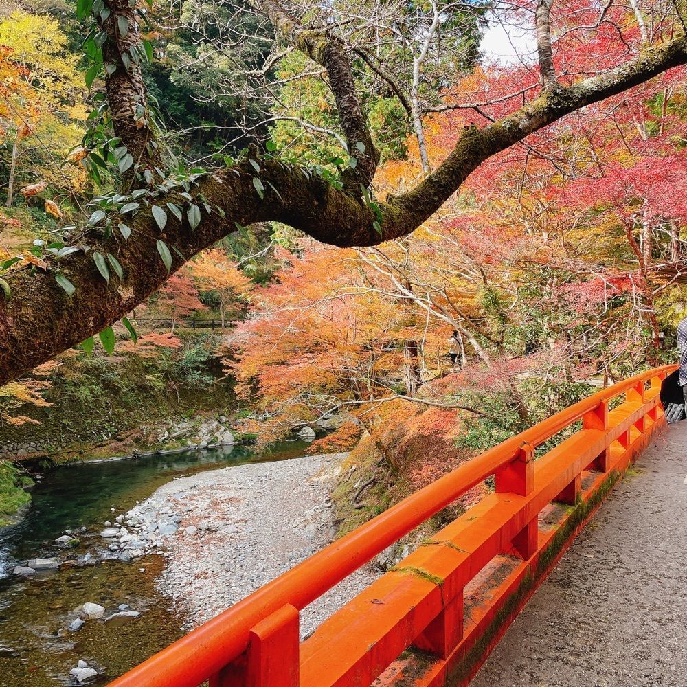Danjouさんが投稿した指月亭（しげつてい）に関する口コミの画像