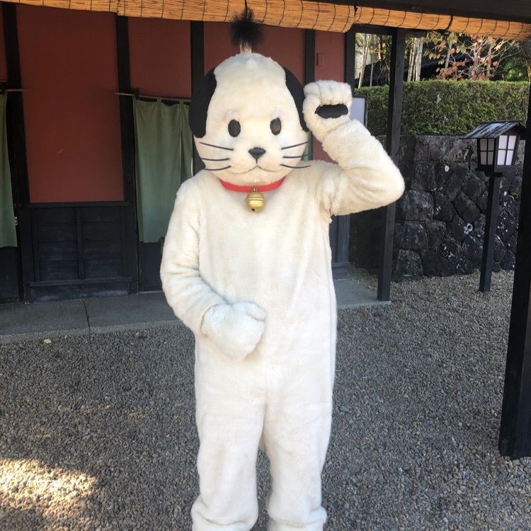 Nekonekoの画像