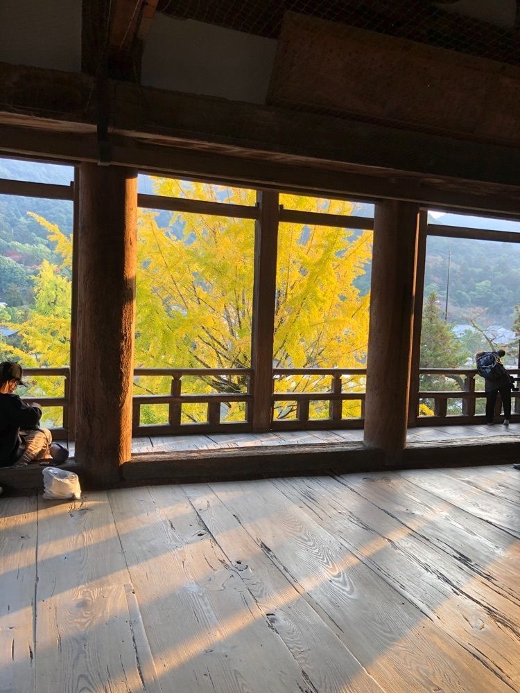 白たぬきさんが投稿した豊国神社に関する口コミの画像