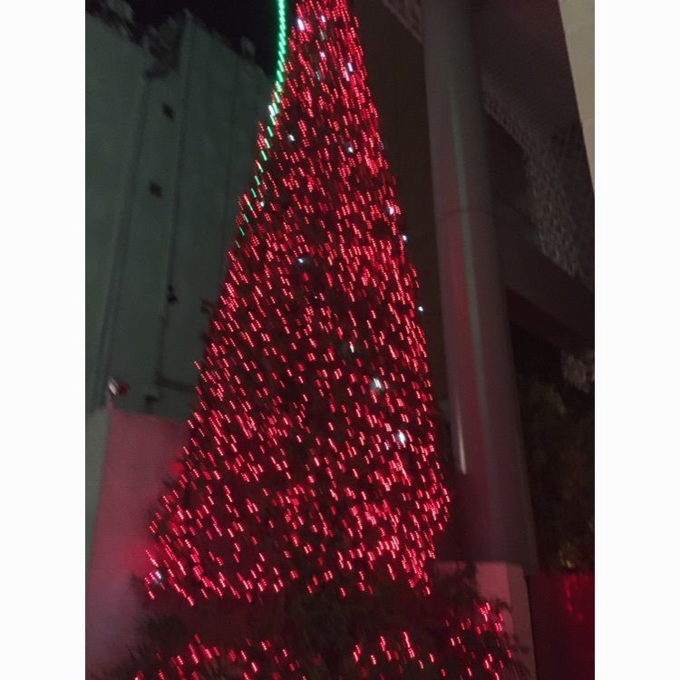 さーとし1018さんが投稿したロオジエに関する口コミの画像