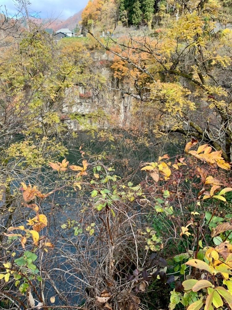 Shoさんが投稿した霧幻峡の渡しに関する口コミの画像