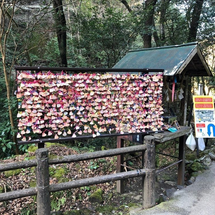 たけさんが投稿した高千穂峡 高千穂町観光協会直営売店に関する口コミの画像