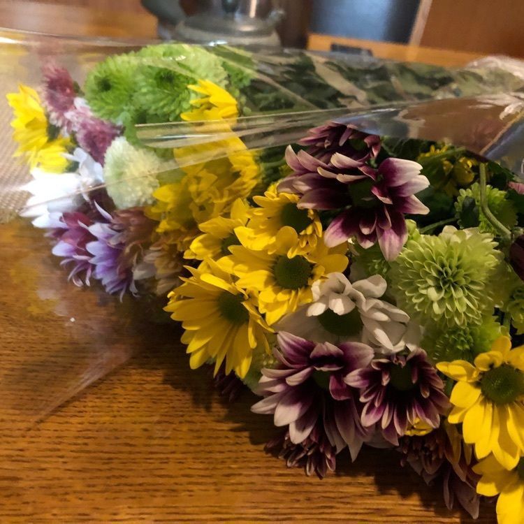 レイさんが投稿したこうと直売所に関する口コミの画像