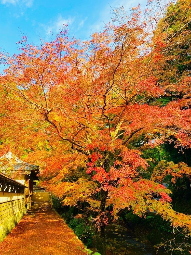 yumiさんが投稿した鰐淵寺に関する口コミの画像