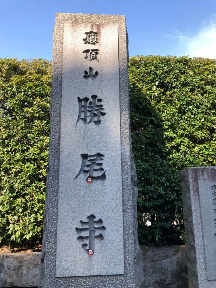 前サルの画像