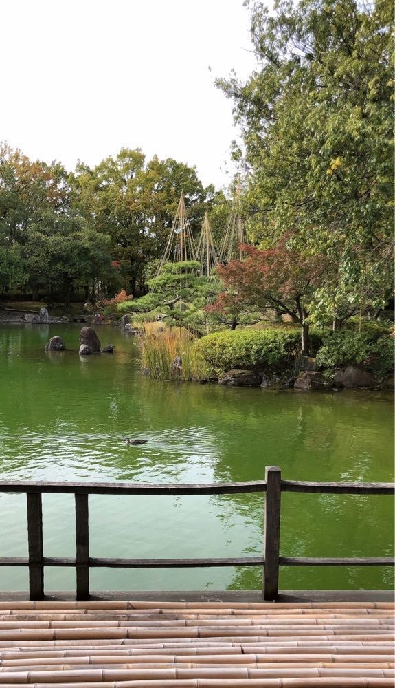 micanさんが投稿した養浩館庭園に関する口コミの画像