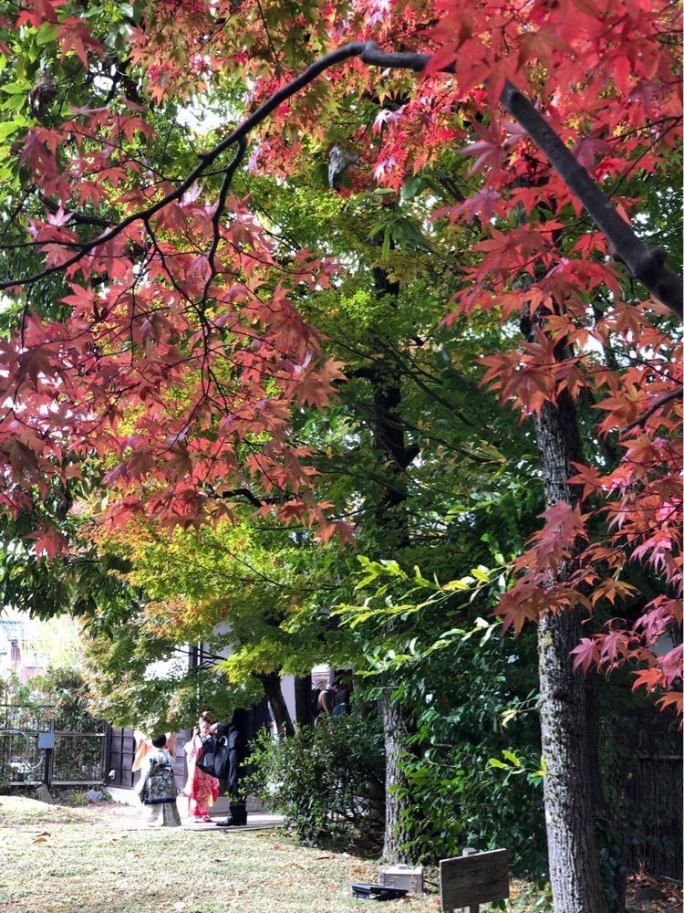 nicanさんが投稿した養浩館庭園に関する口コミの画像