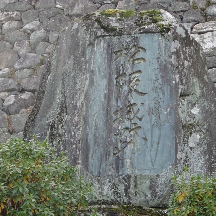 レモンさんが投稿した松坂城跡（松阪公園）に関する口コミの画像