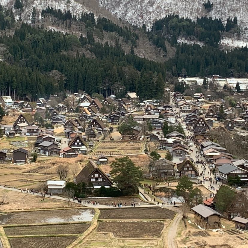 sunflower٭¨̮さんが投稿したこだわりの白川郷土産めめんこに関する口コミの画像