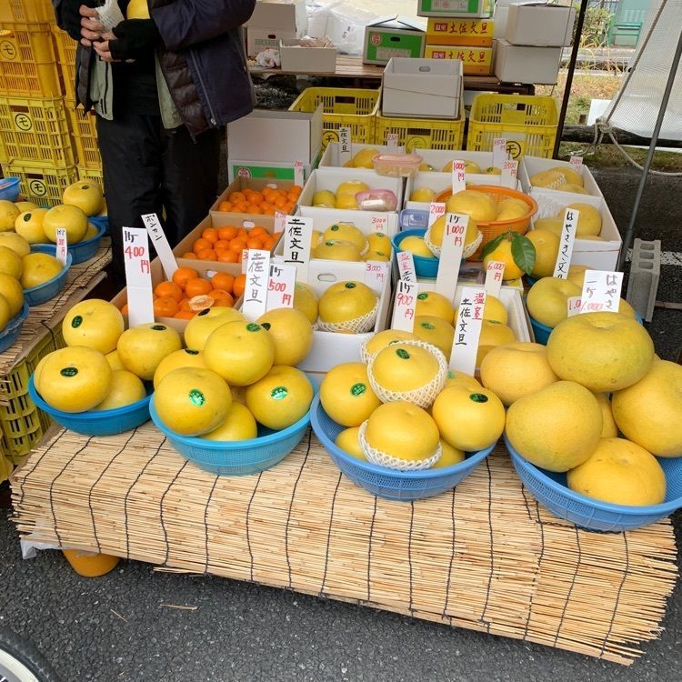 syokoさんが投稿した土佐の日曜市に関する口コミの画像