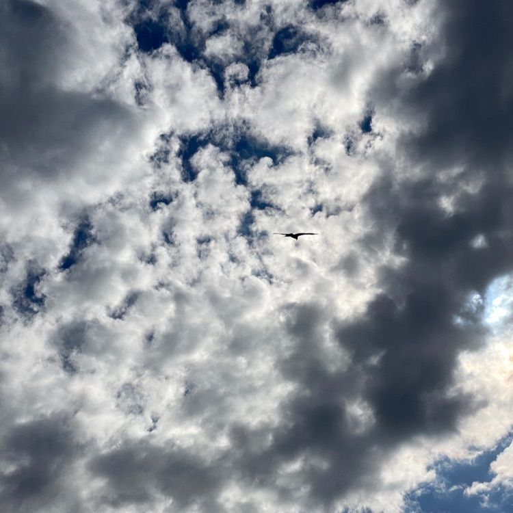 かよこさんが投稿した荒崎公園に関する口コミの画像