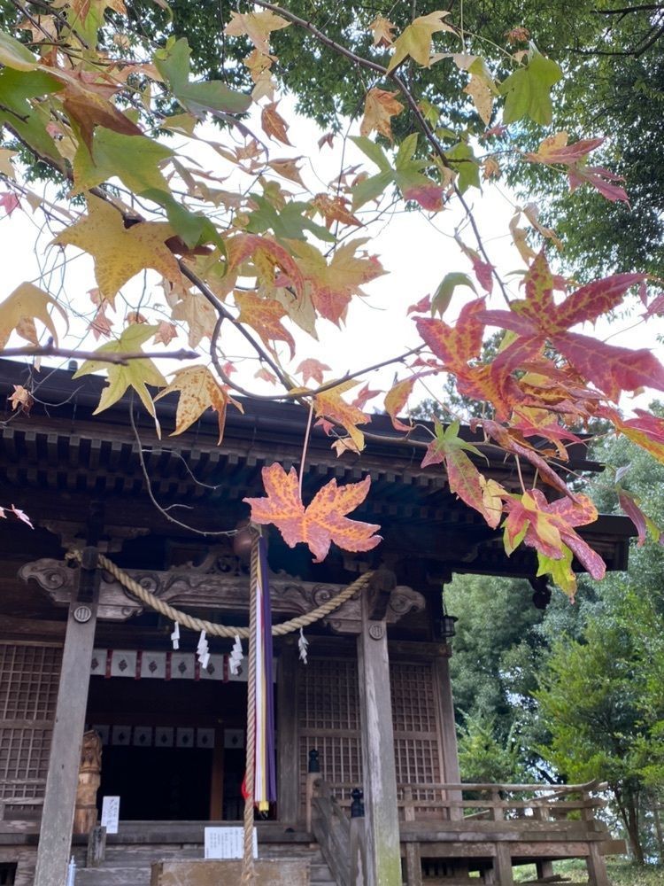Musashiさんが投稿した鹿島台神社に関する口コミの画像