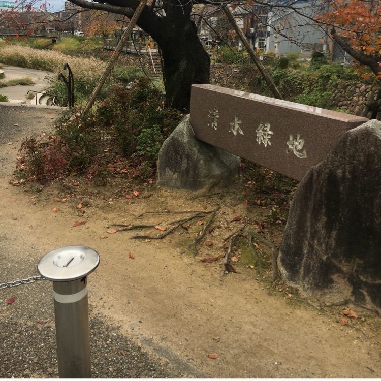 imokoさんが投稿した清水緑地に関する口コミの画像
