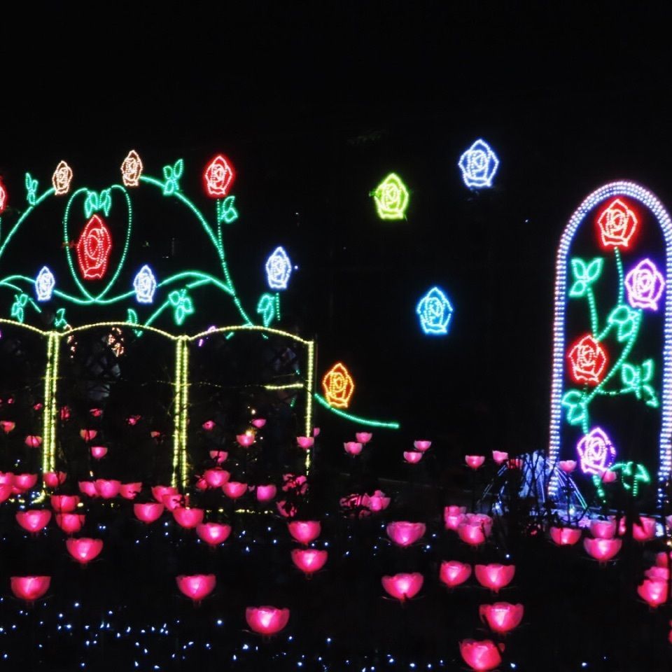 yoshiさんが投稿した画像の画像