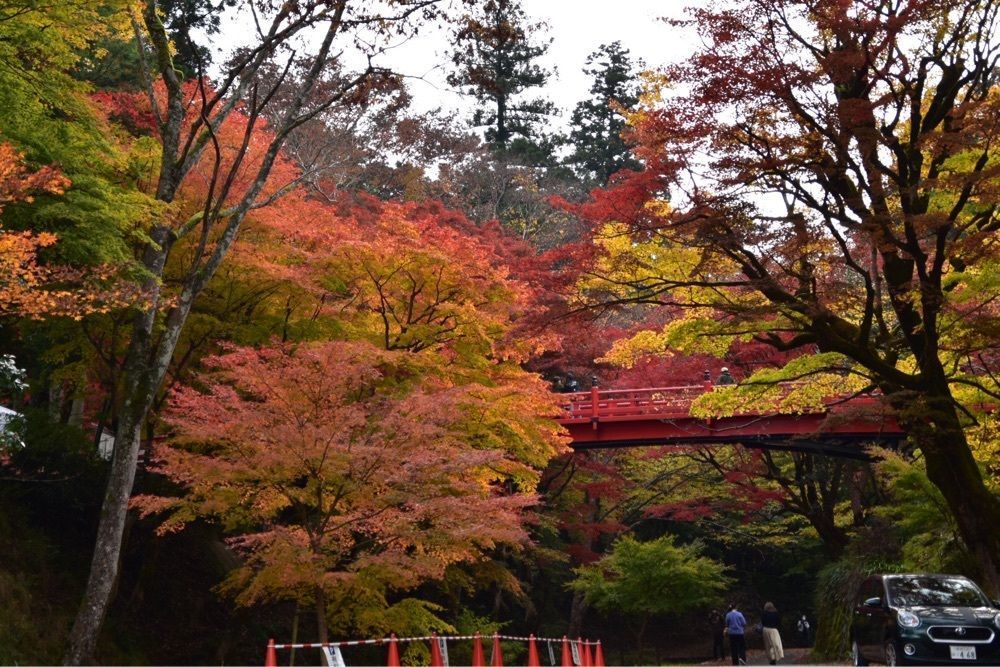 還暦オヤジさんが投稿した養父神社の紅葉に関する口コミの画像