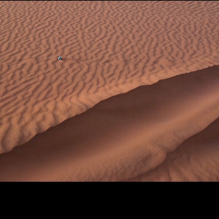 Annashuna0830さんが投稿したMerzougaに関する口コミの画像