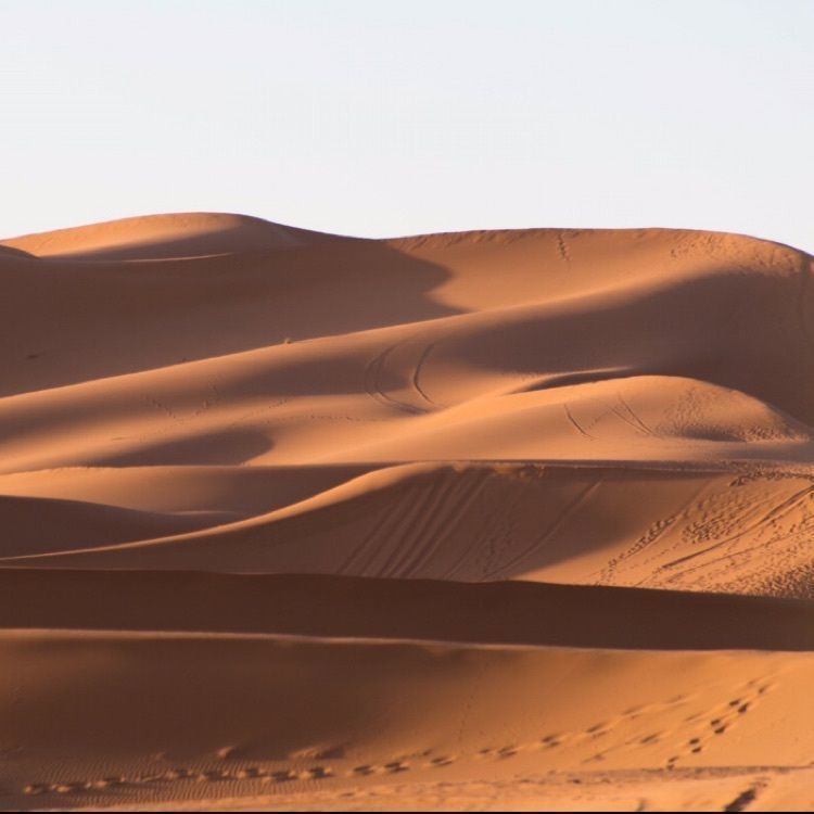 Annashuna0830さんが投稿したMerzougaに関する口コミの画像