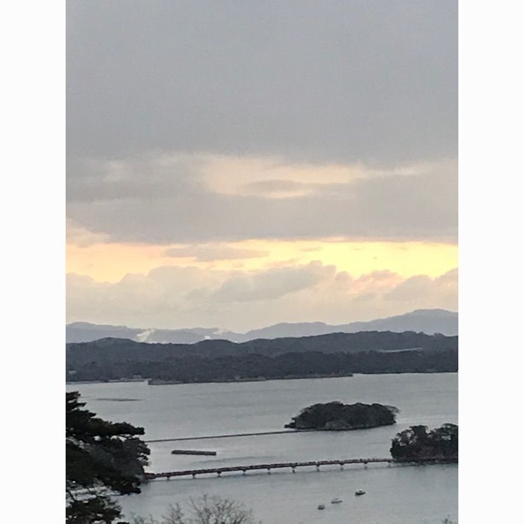 Musashiさんが投稿した西行戻しの松公園の桜に関する口コミの画像