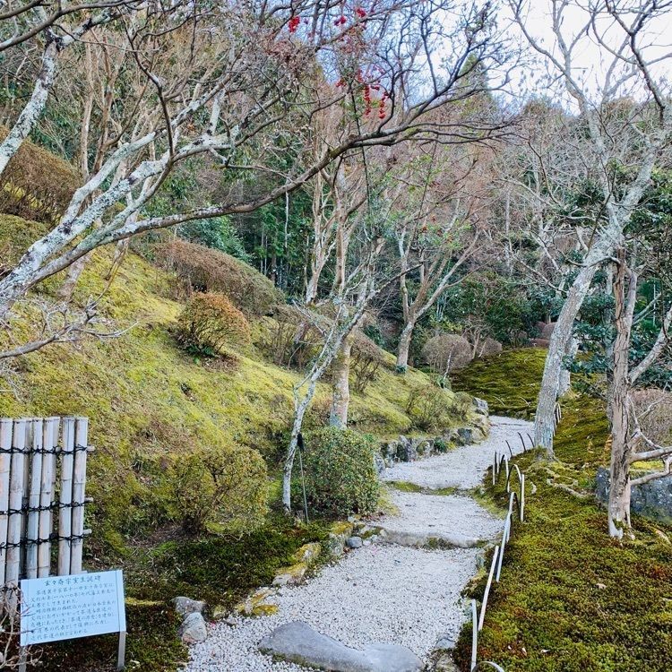 だるま大使さんが投稿した奥殿陣屋の茶屋に関する口コミの画像