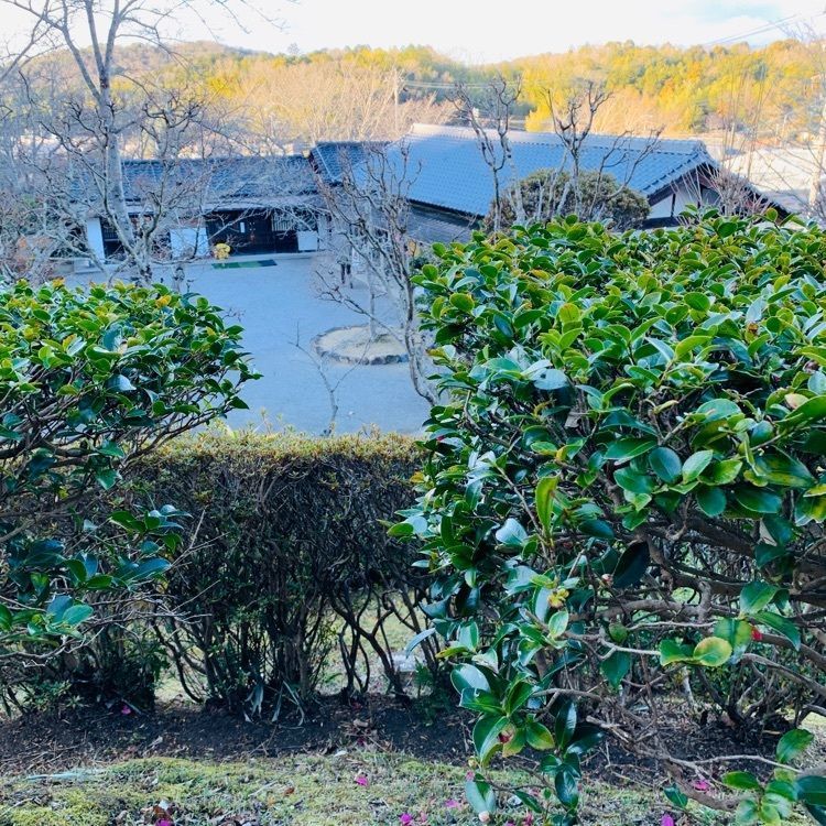 だるま大使さんが投稿した奥殿陣屋の茶屋に関する口コミの画像