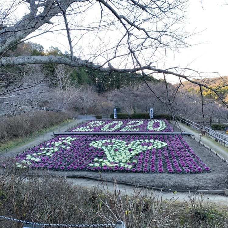 だるま大使さんが投稿した奥殿陣屋の茶屋に関する口コミの画像