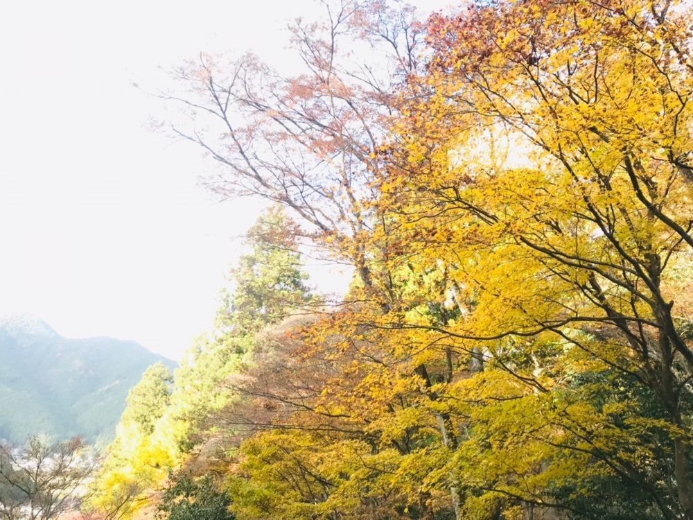 So-kunさんが投稿した高源寺の紅葉に関する口コミの画像