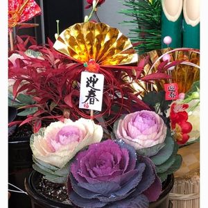 青山フラワーマーケット