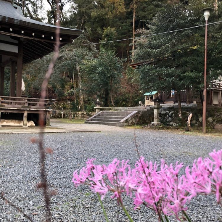 ダイン🎶さんが投稿した月読神社(京都市)に関する口コミの画像