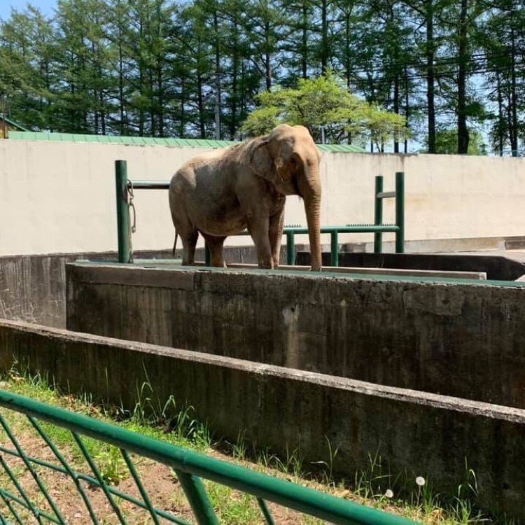 ＤＪゴン太さんが投稿したおびひろ動物園に関する口コミの画像