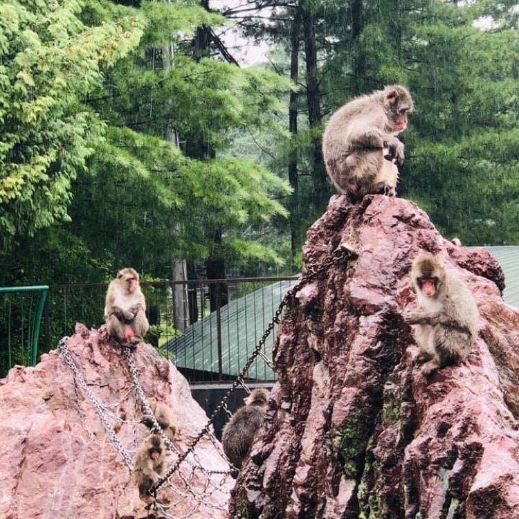 ＤＪゴン太さんが投稿したおびひろ動物園に関する口コミの画像