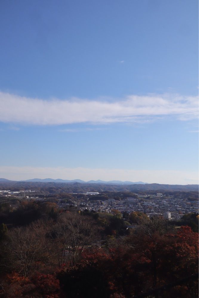 あっけさんが投稿した霞ヶ城の傘松に関する口コミの画像