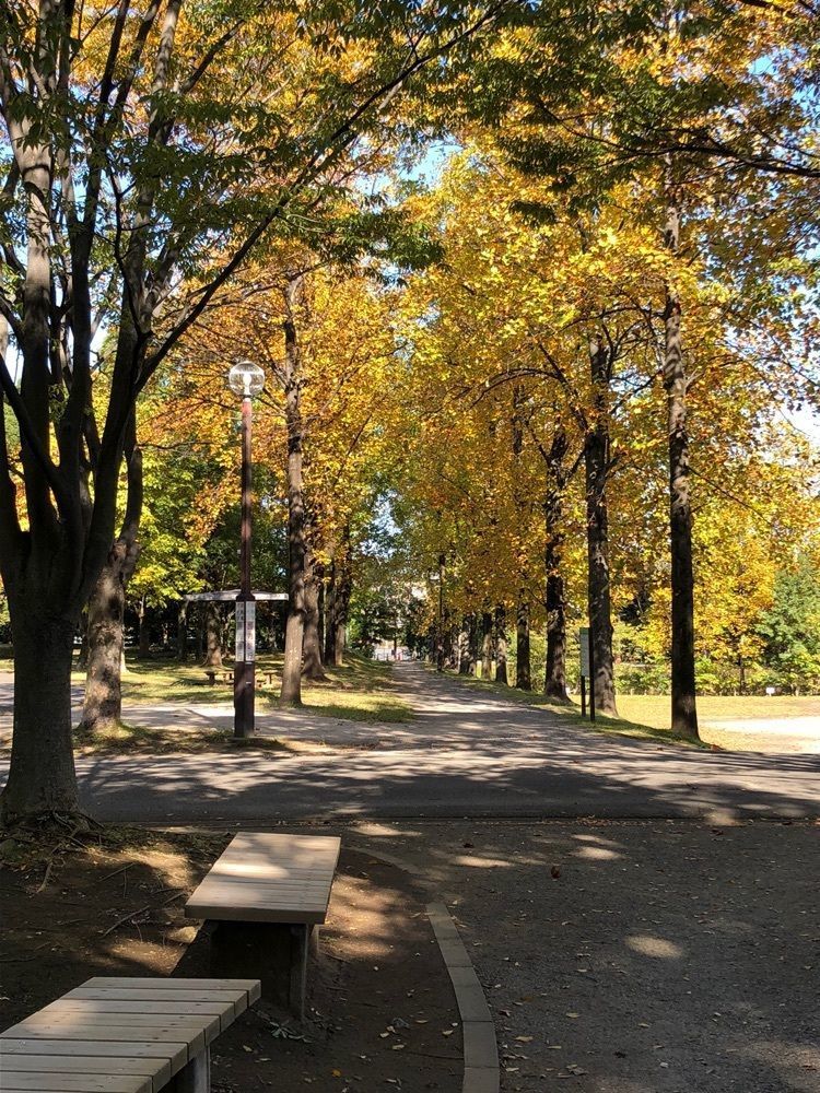 calm_showtime_e8b2さんが投稿した三橋総合公園に関する口コミの画像