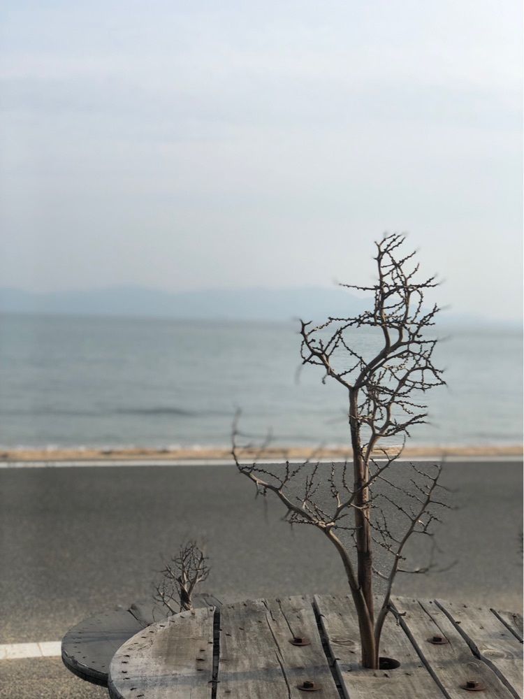 nicanさんが投稿した岩風呂に関する口コミの画像