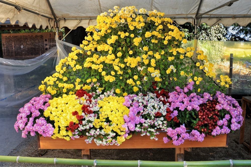 まさまさ　さまさんが投稿した那須神社に関する口コミの画像