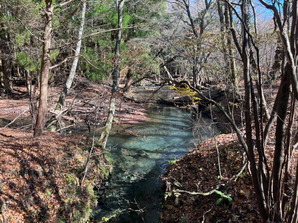 surumeさんが投稿した男池湧水群に関する口コミの画像