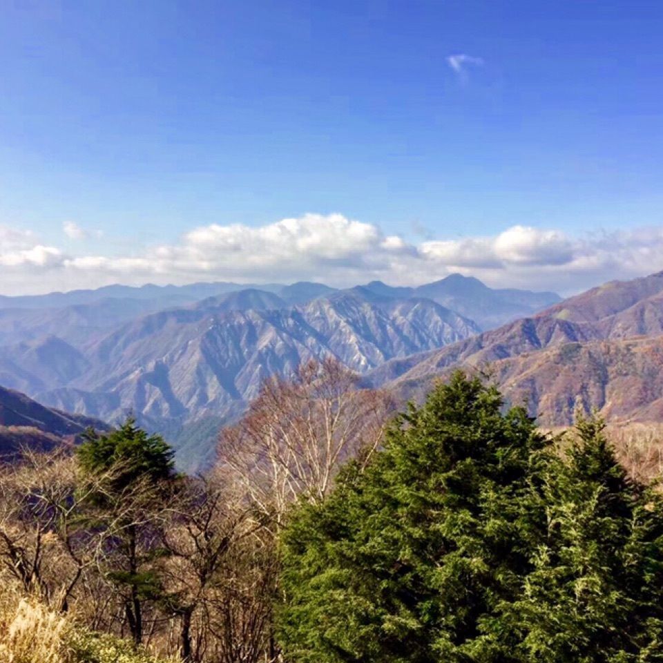 りゅうぽんさんが投稿した中禅寺湖スカイラインに関する口コミの画像