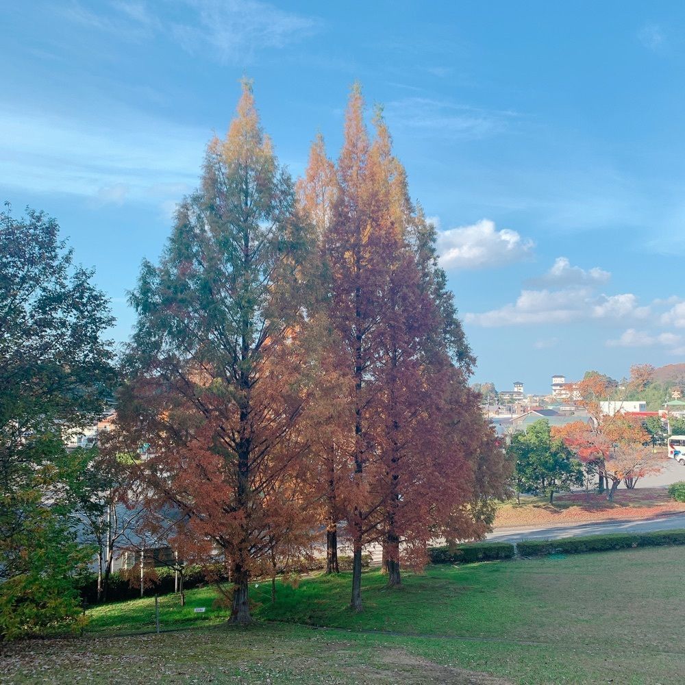 MIEさんが投稿した辰口丘陵公園に関する口コミの画像