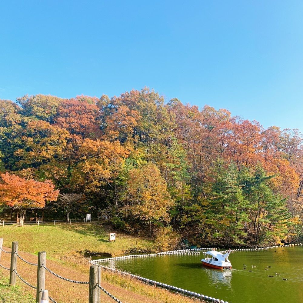 MIEさんが投稿した辰口丘陵公園に関する口コミの画像