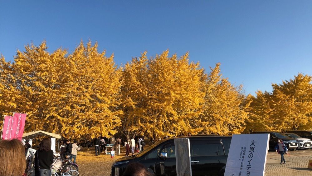 tulipさんが投稿したフルトリエ　中村果樹園（Fruitelier）に関する口コミの画像