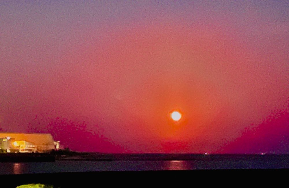 k♡︎ᵎᵎᵎさんが投稿した大浜レクリェーションの森遊歩道に関する口コミの画像