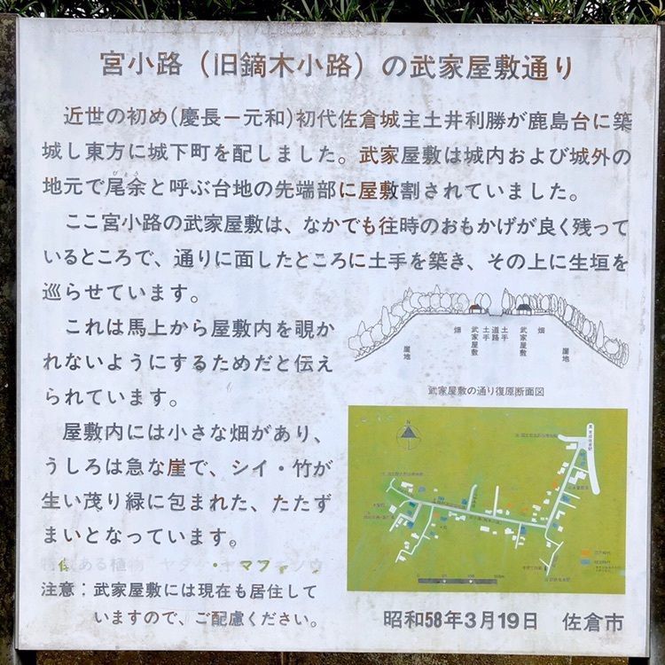 さーとし1018さんが投稿した大聖院に関する口コミの画像