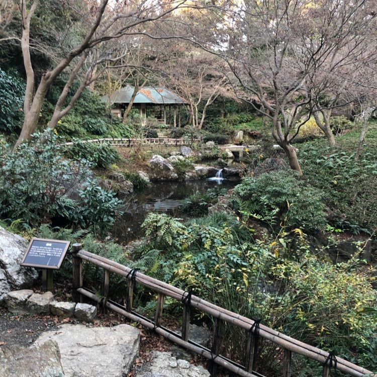タグユウさんが投稿した家康公松鎧掛松に関する口コミの画像