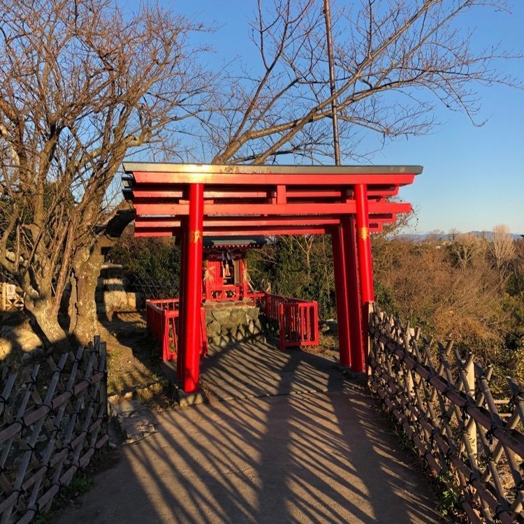 タグユウさんが投稿した家康公松鎧掛松に関する口コミの画像