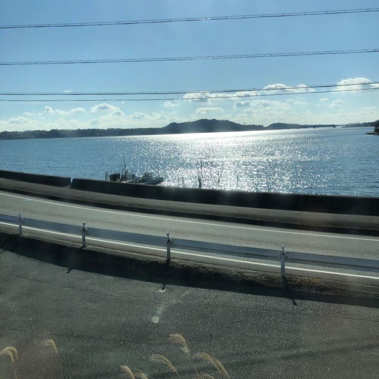 タグユウさんが投稿した静岡県水産試験場浜名湖分場浜名湖体験学習施設「ウォット」に関する口コミの画像