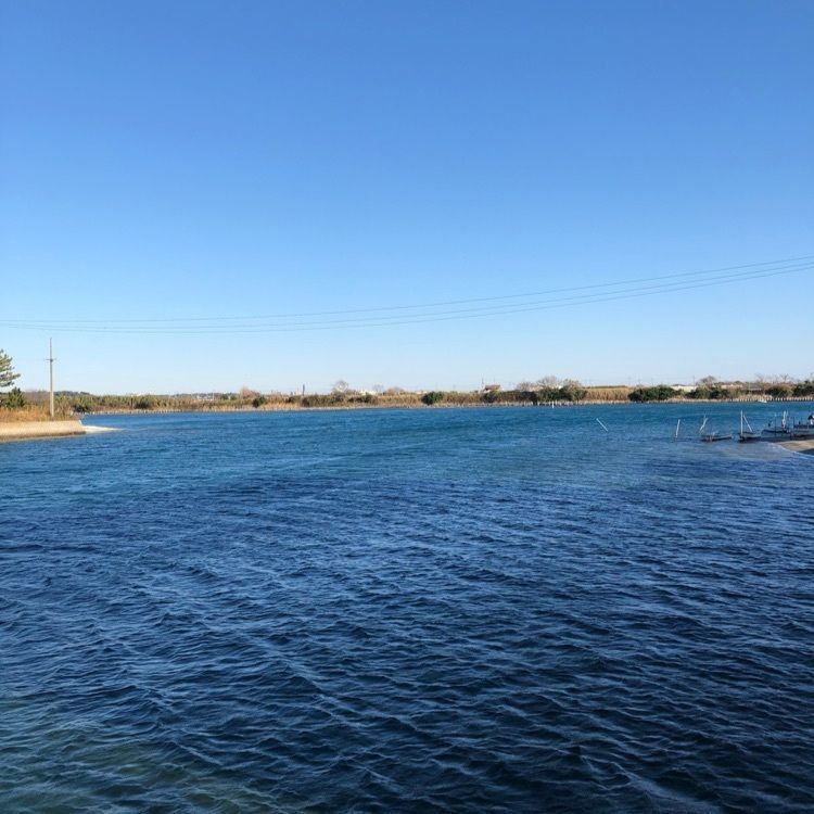 タグユウさんが投稿した静岡県水産試験場浜名湖分場浜名湖体験学習施設「ウォット」に関する口コミの画像