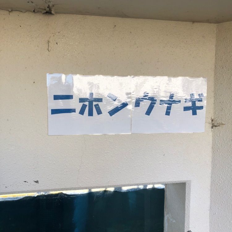 タグユウさんが投稿した静岡県水産試験場浜名湖分場浜名湖体験学習施設「ウォット」に関する口コミの画像