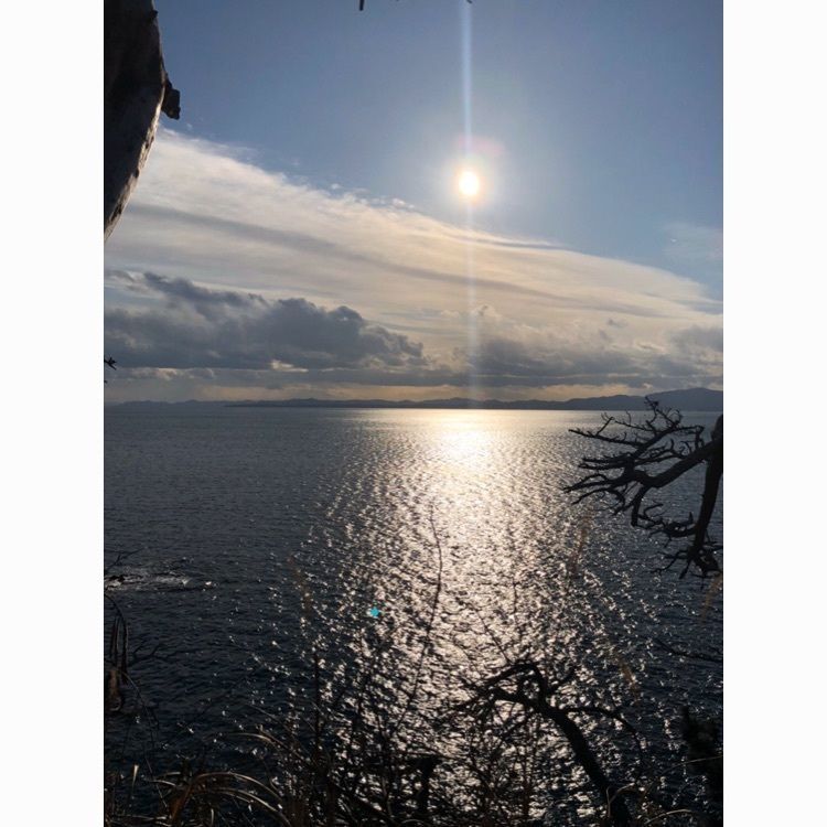 Musashiさんが投稿した休暇村 気仙沼大島に関する口コミの画像