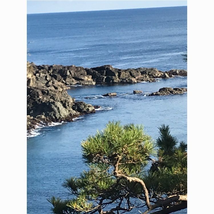 Musashiさんが投稿した休暇村 気仙沼大島に関する口コミの画像